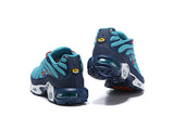 Original Nike Air Max Plus
