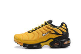 Original Nike Air Max Plus