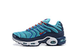 Original Nike Air Max Plus